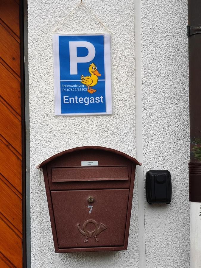 Apartment Entegast Schopfheim Eksteriør bilde